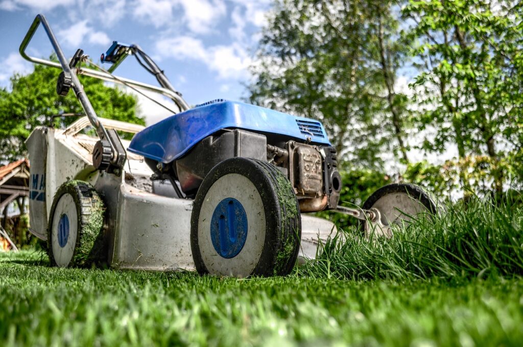 Elektro-Rasenmäher: Rasenpflege leicht gemacht