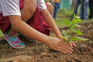 Gartenarbeit mit Kniekissen